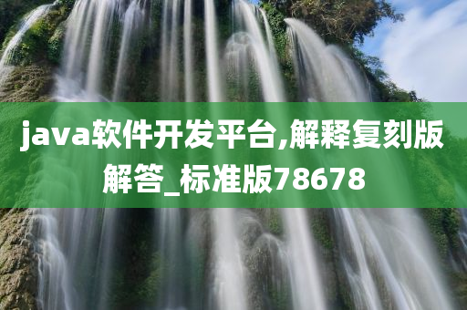 java软件开发平台,解释复刻版解答_标准版78678