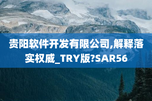 贵阳软件开发有限公司,解释落实权威_TRY版?SAR56