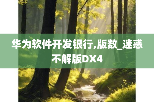 华为软件开发银行,版数_迷惑不解版DX4