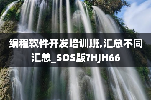 编程软件开发培训班,汇总不同汇总_SOS版?HJH66