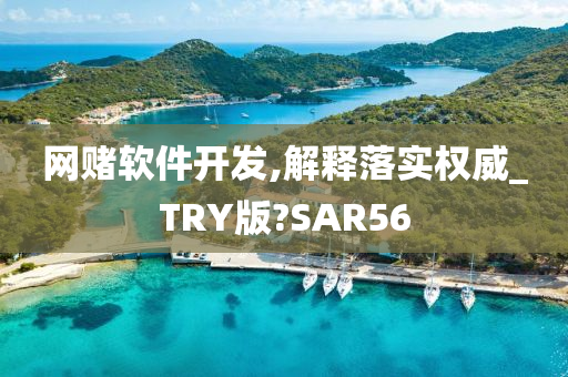 网赌软件开发,解释落实权威_TRY版?SAR56