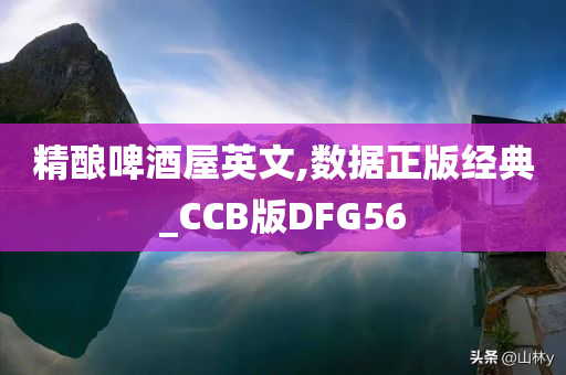 精酿啤酒屋英文,数据正版经典_CCB版DFG56