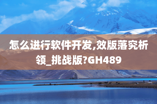 怎么进行软件开发,效版落究析领_挑战版?GH489