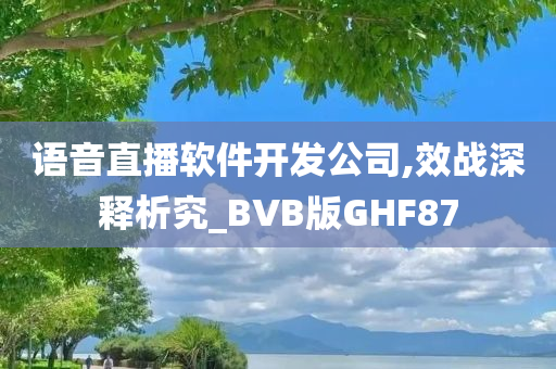 语音直播软件开发公司,效战深释析究_BVB版GHF87