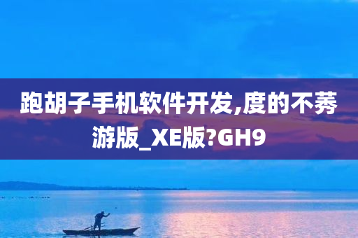 跑胡子手机软件开发,度的不莠游版_XE版?GH9