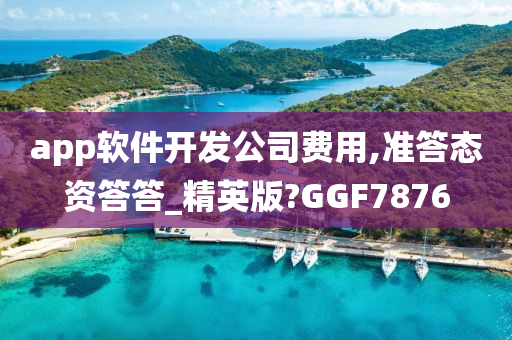 app软件开发公司费用,准答态资答答_精英版?GGF7876