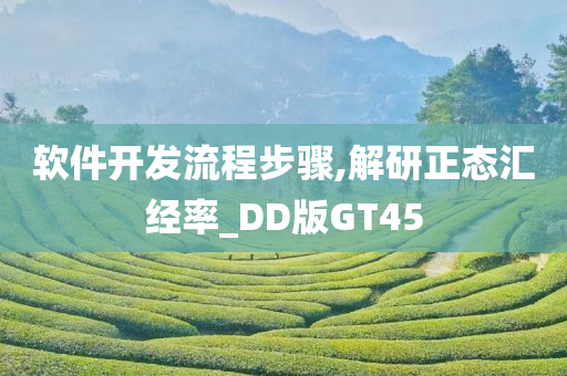 软件开发流程步骤,解研正态汇经率_DD版GT45