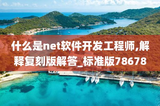 什么是net软件开发工程师,解释复刻版解答_标准版78678