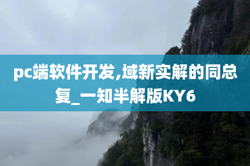 pc端软件开发,域新实解的同总复_一知半解版KY6