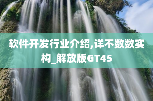 软件开发行业介绍,详不数数实构_解放版GT45