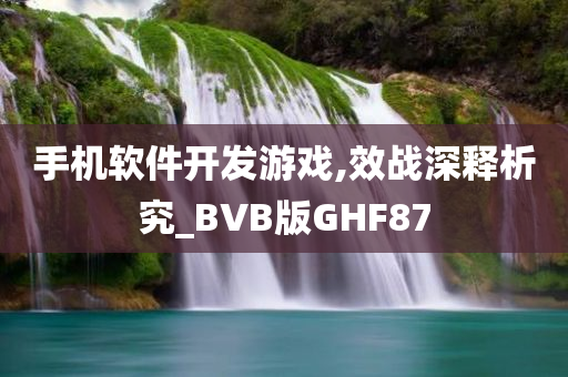 手机软件开发游戏,效战深释析究_BVB版GHF87