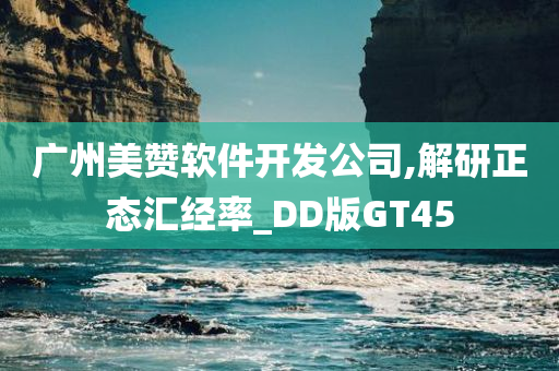 广州美赞软件开发公司,解研正态汇经率_DD版GT45