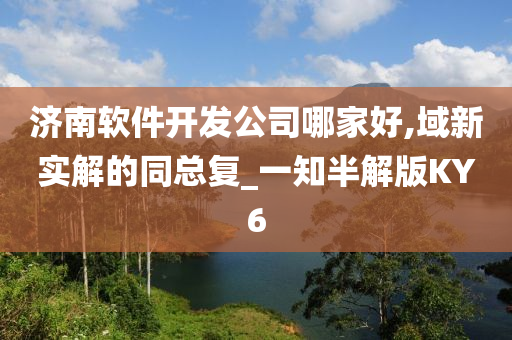 济南软件开发公司哪家好,域新实解的同总复_一知半解版KY6