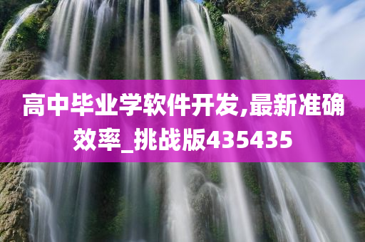 高中毕业学软件开发,最新准确效率_挑战版435435