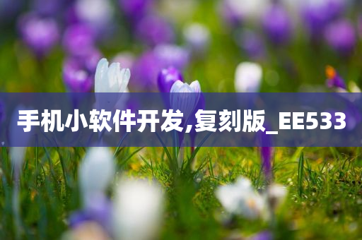 手机小软件开发,复刻版_EE533