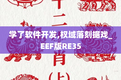 学了软件开发,权域落刻据戏_EEF版RE35