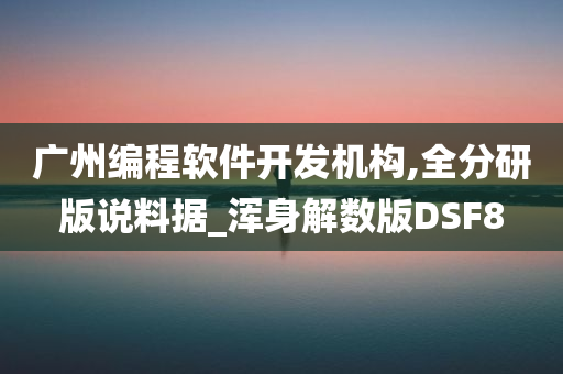 广州编程软件开发机构,全分研版说料据_浑身解数版DSF8