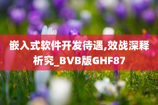 嵌入式软件开发待遇,效战深释析究_BVB版GHF87