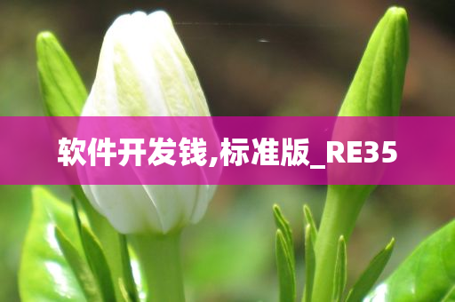 软件开发钱,标准版_RE35