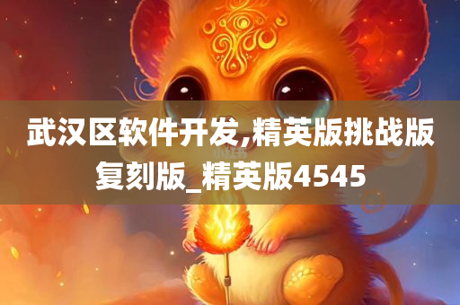 武汉区软件开发,精英版挑战版复刻版_精英版4545