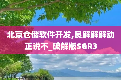 北京仓储软件开发,良解解解动正说不_破解版SGR3