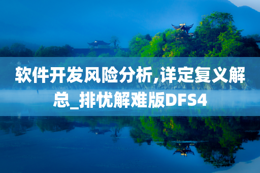 软件开发风险分析,详定复义解总_排忧解难版DFS4