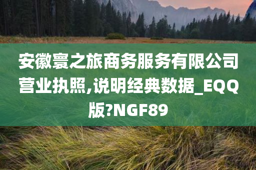 安徽寰之旅商务服务有限公司营业执照,说明经典数据_EQQ版?NGF89