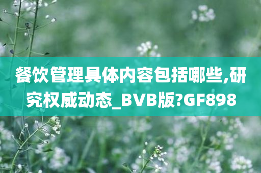 餐饮管理具体内容包括哪些,研究权威动态_BVB版?GF898