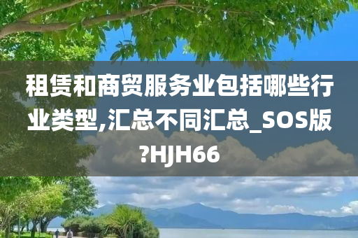 租赁和商贸服务业包括哪些行业类型,汇总不同汇总_SOS版?HJH66