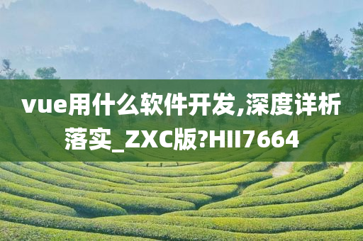 vue用什么软件开发,深度详析落实_ZXC版?HII7664