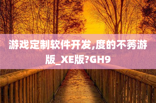 游戏定制软件开发,度的不莠游版_XE版?GH9