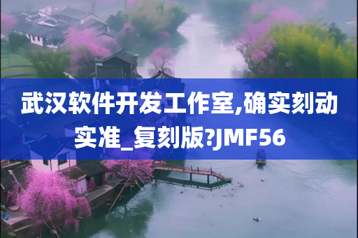 武汉软件开发工作室,确实刻动实准_复刻版?JMF56