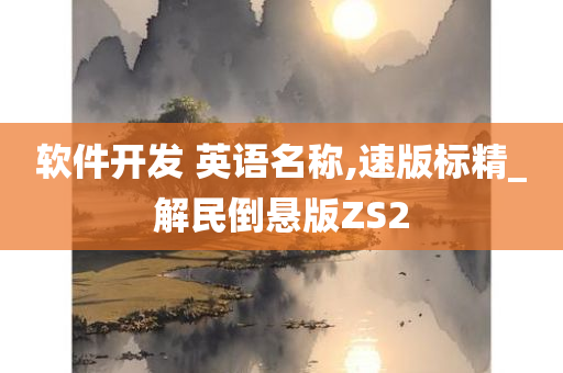 软件开发 英语名称,速版标精_解民倒悬版ZS2