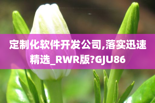 定制化软件开发公司,落实迅速精选_RWR版?GJU86