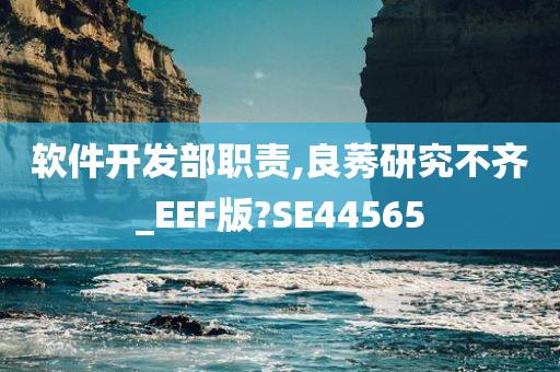 软件开发部职责,良莠研究不齐_EEF版?SE44565