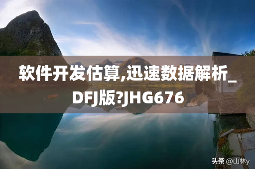 软件开发估算,迅速数据解析_DFJ版?JHG676