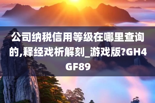 公司纳税信用等级在哪里查询的,释经戏析解刻_游戏版?GH4GF89