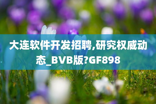 大连软件开发招聘,研究权威动态_BVB版?GF898