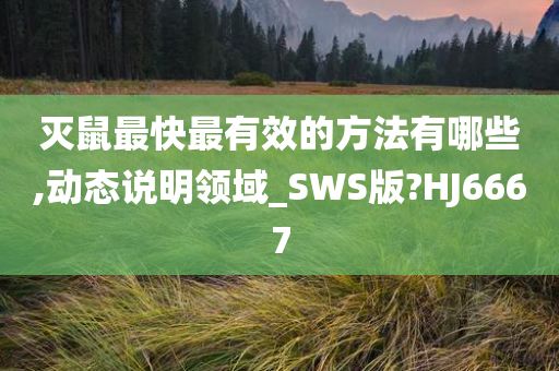 灭鼠最快最有效的方法有哪些,动态说明领域_SWS版?HJ6667