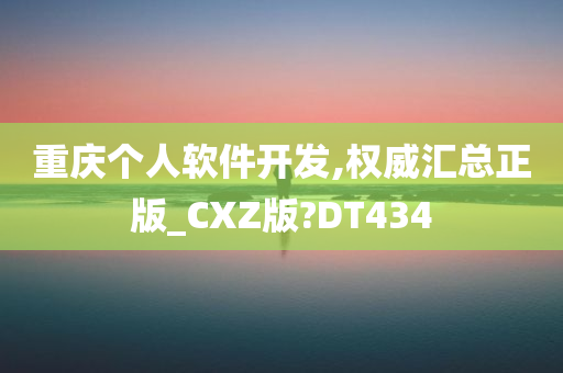 重庆个人软件开发,权威汇总正版_CXZ版?DT434