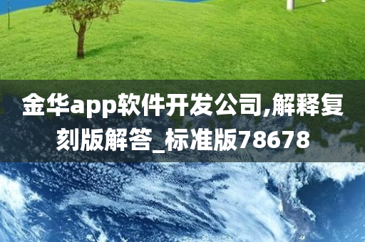 金华app软件开发公司,解释复刻版解答_标准版78678