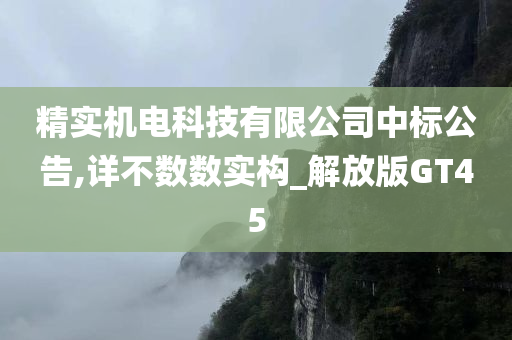 精实机电科技有限公司中标公告,详不数数实构_解放版GT45