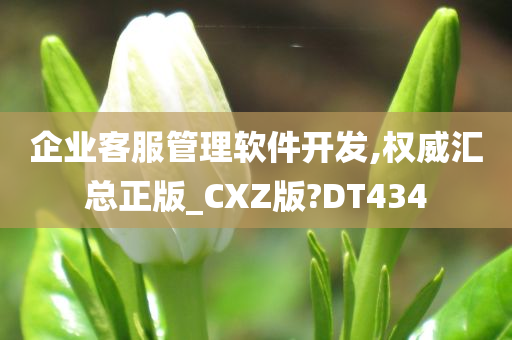 企业客服管理软件开发,权威汇总正版_CXZ版?DT434