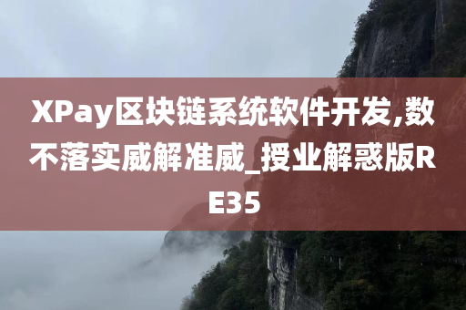 XPay区块链系统软件开发,数不落实威解准威_授业解惑版RE35