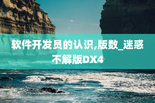 软件开发员的认识,版数_迷惑不解版DX4