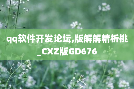 qq软件开发论坛,版解解精析挑_CXZ版GD676