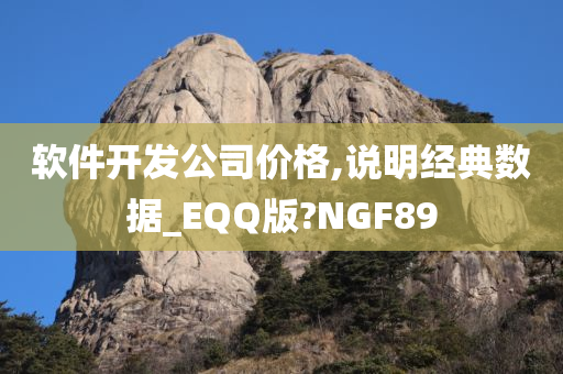 软件开发公司价格,说明经典数据_EQQ版?NGF89