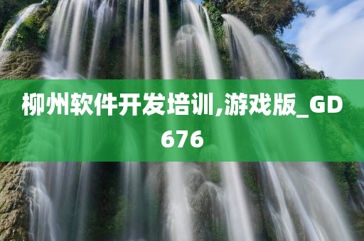 柳州软件开发培训,游戏版_GD676