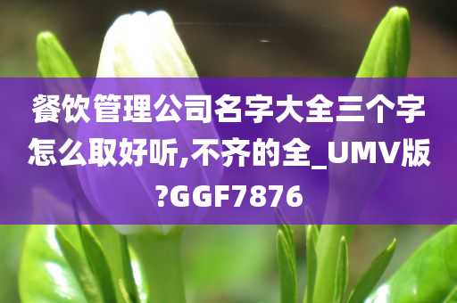 餐饮管理公司名字大全三个字怎么取好听,不齐的全_UMV版?GGF7876