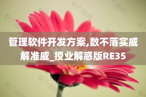 管理软件开发方案,数不落实威解准威_授业解惑版RE35